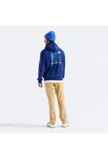 THE NORTH FACE MEN'S EVOLUTION MONTE REGULAR HOODIE