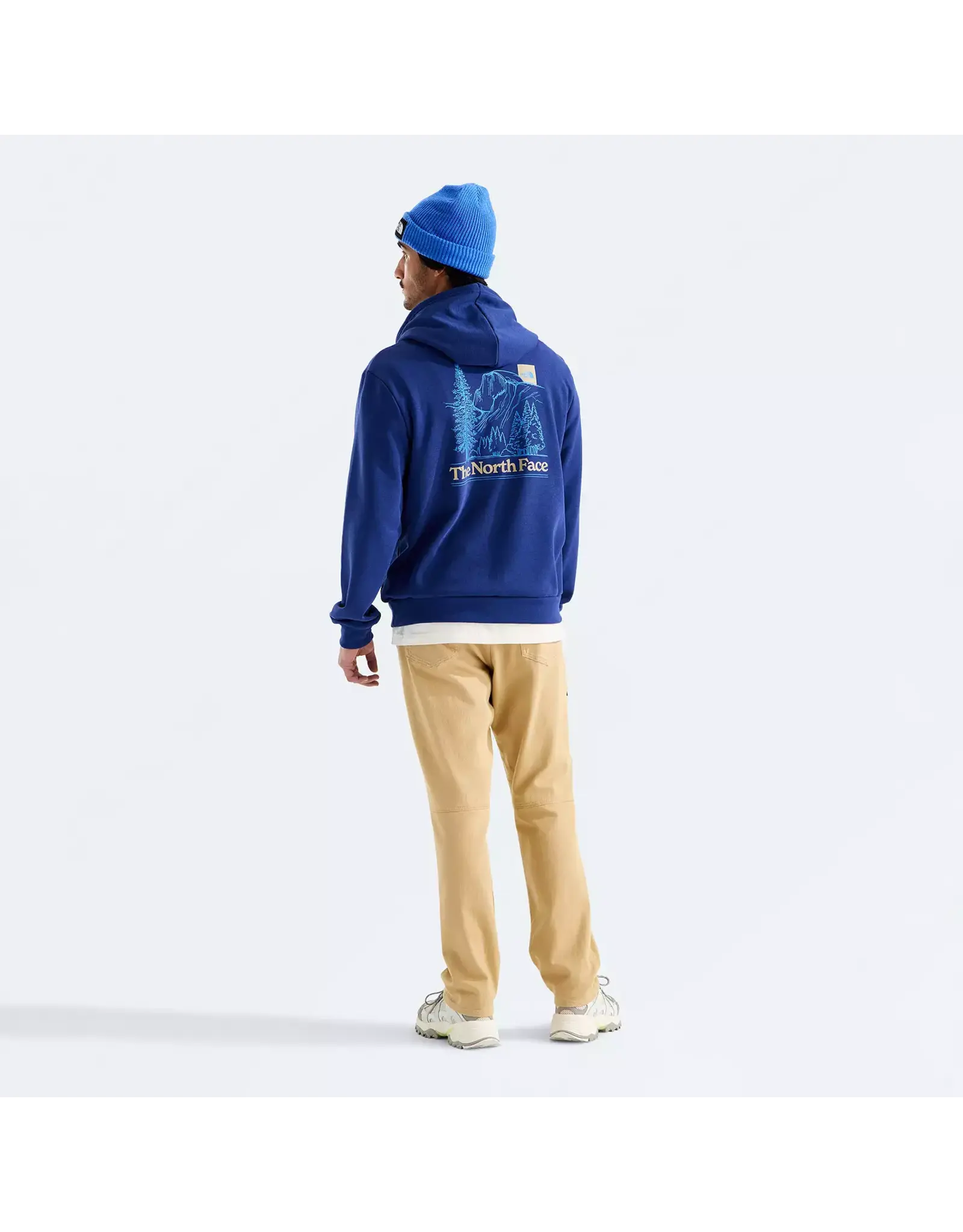 THE NORTH FACE MEN'S EVOLUTION MONTE REGULAR HOODIE