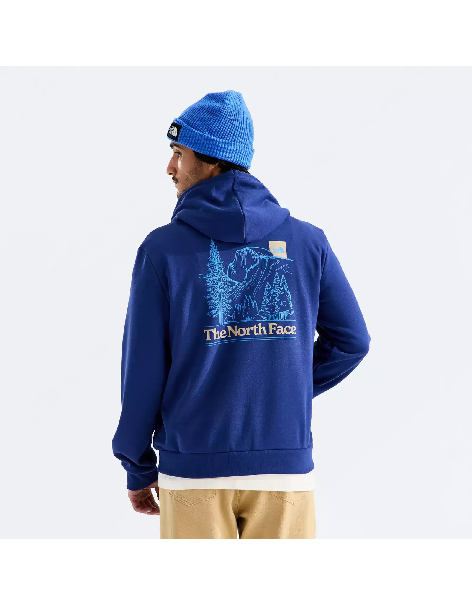 THE NORTH FACE MEN'S EVOLUTION MONTE REGULAR HOODIE