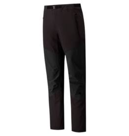 PATAGONIA MENS TERRAVIA ALPINE PANTS - REG
