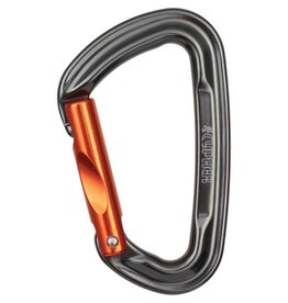 FIREFLY II STRAIGHT GATE BINER