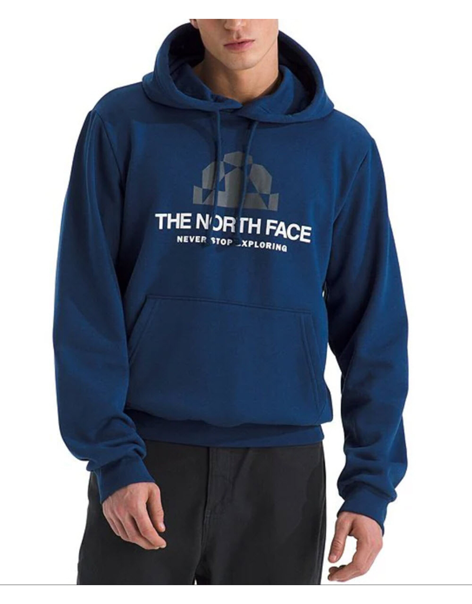 THE NORTH FACE MEN EVOLUTION BTS GRAPHIC HOODY