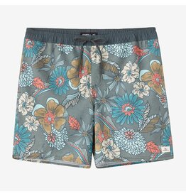 ONEILL MEN HERMOSA LIGHT LINED 17" VOLLEY SHORT