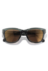 TARGA PINE BRONZE SUNGLASSES