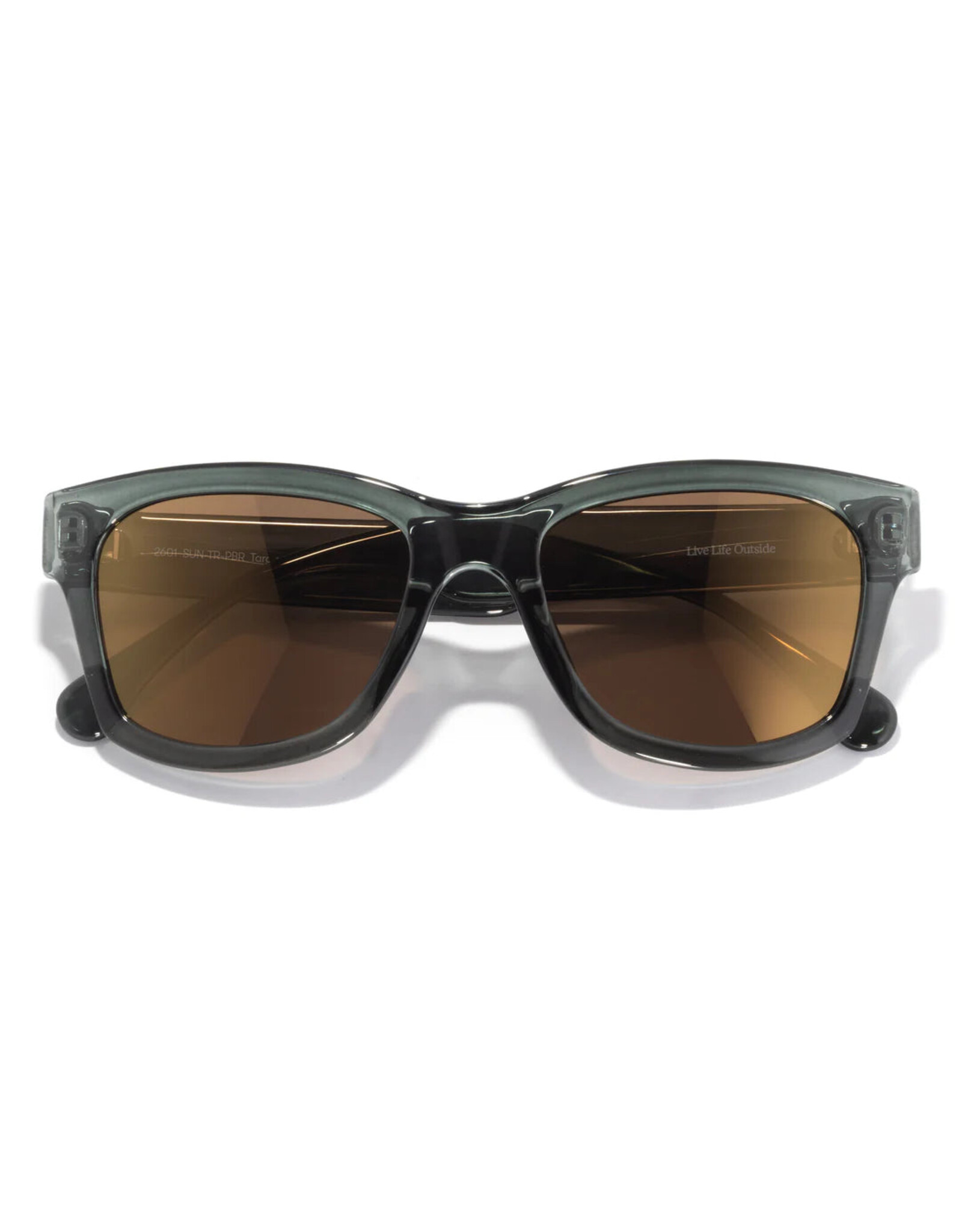 TARGA PINE BRONZE SUNGLASSES
