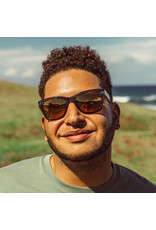 TARGA PINE BRONZE SUNGLASSES