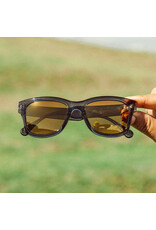 TARGA PINE BRONZE SUNGLASSES