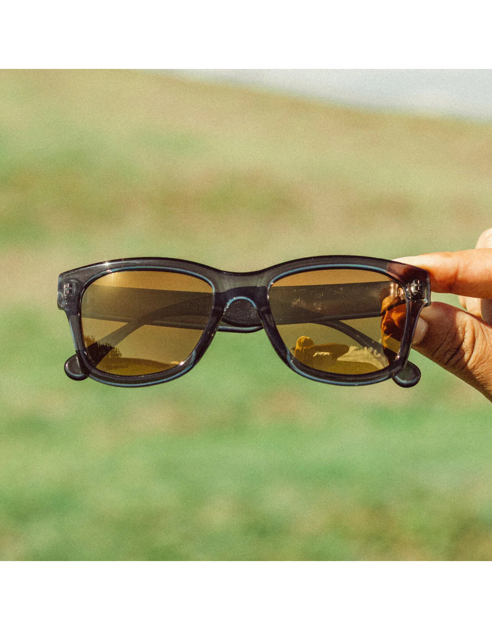TARGA PINE BRONZE SUNGLASSES
