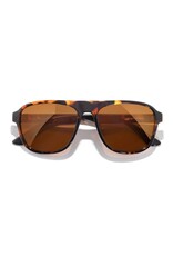 SHORELINE TORTOISE BRONZE SUNGLASSES