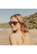 SHORELINE TORTOISE BRONZE SUNGLASSES