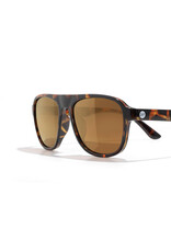 SHORELINE TORTOISE BRONZE SUNGLASSES