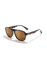SHORELINE TORTOISE BRONZE SUNGLASSES