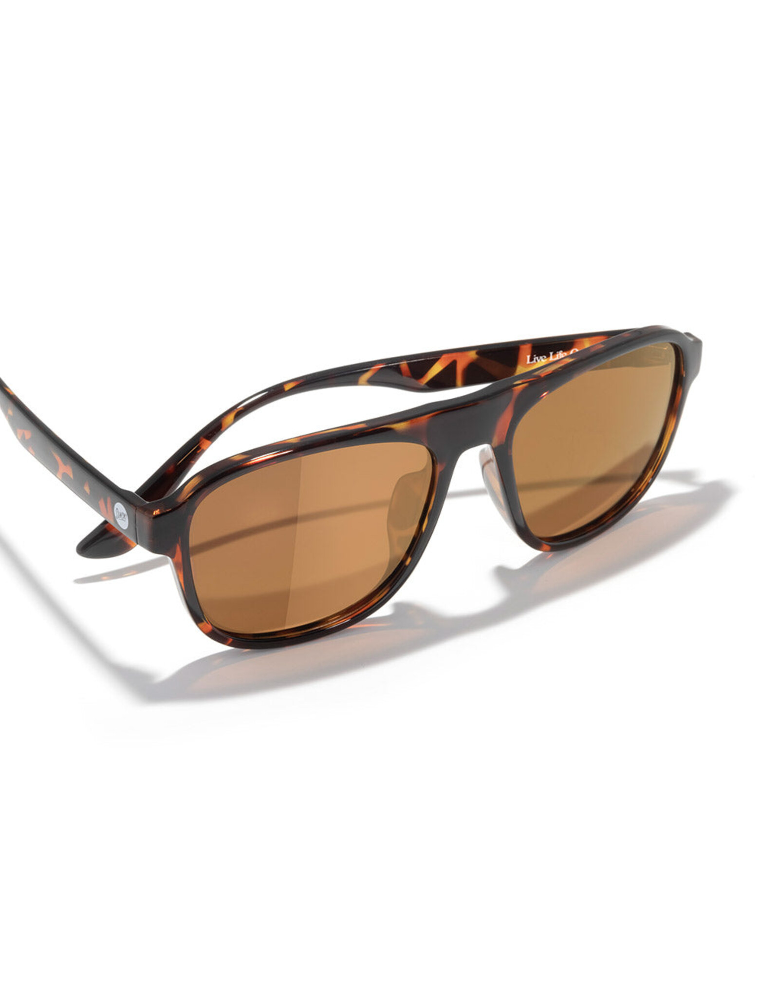 SHORELINE TORTOISE BRONZE SUNGLASSES