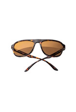 SHORELINE TORTOISE BRONZE SUNGLASSES