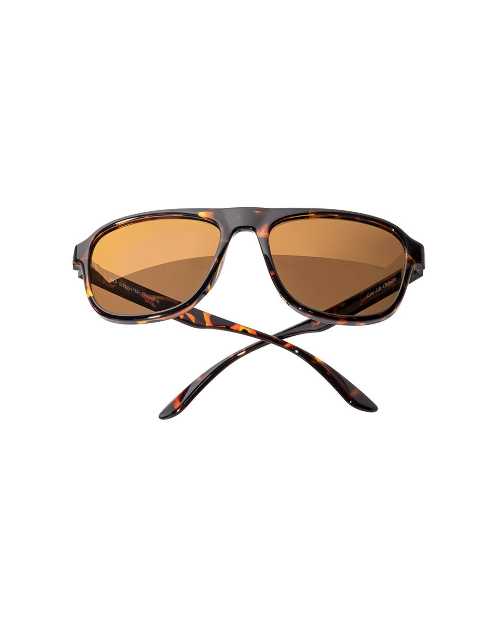 SHORELINE TORTOISE BRONZE SUNGLASSES
