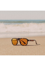 SHORELINE TORTOISE BRONZE SUNGLASSES