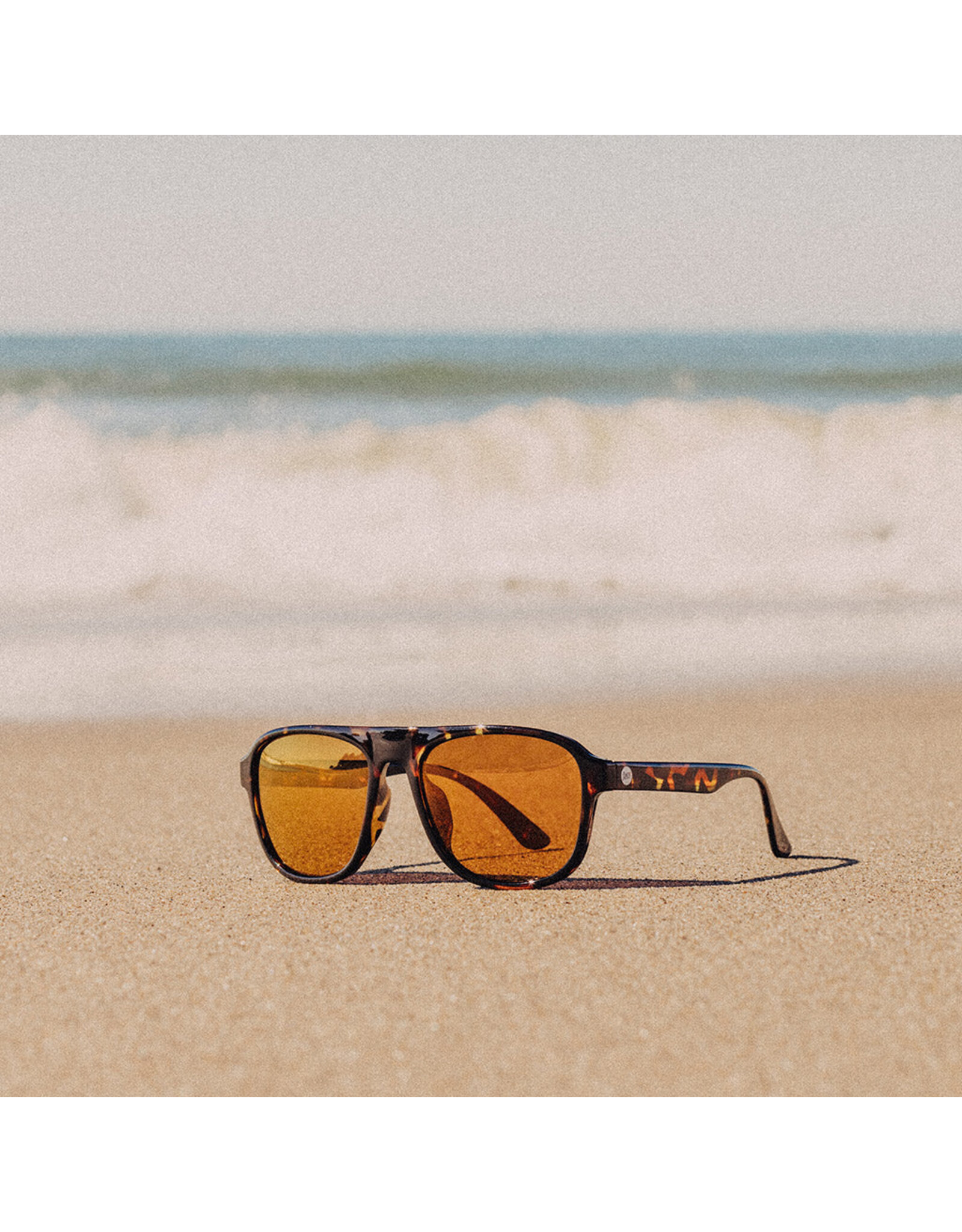 SHORELINE TORTOISE BRONZE SUNGLASSES