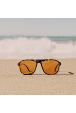 SHORELINE TORTOISE BRONZE SUNGLASSES