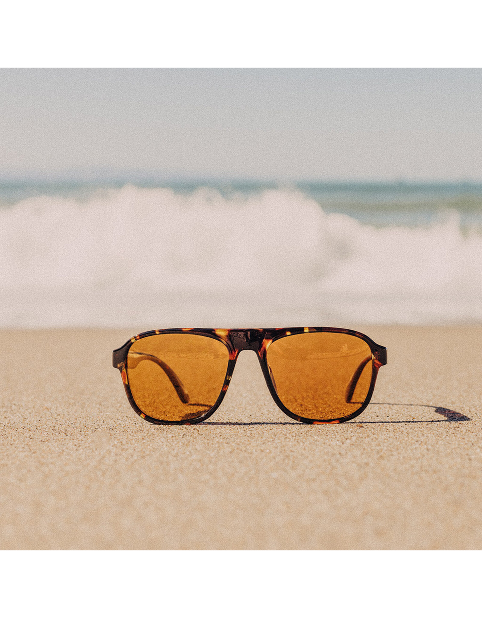 SHORELINE TORTOISE BRONZE SUNGLASSES