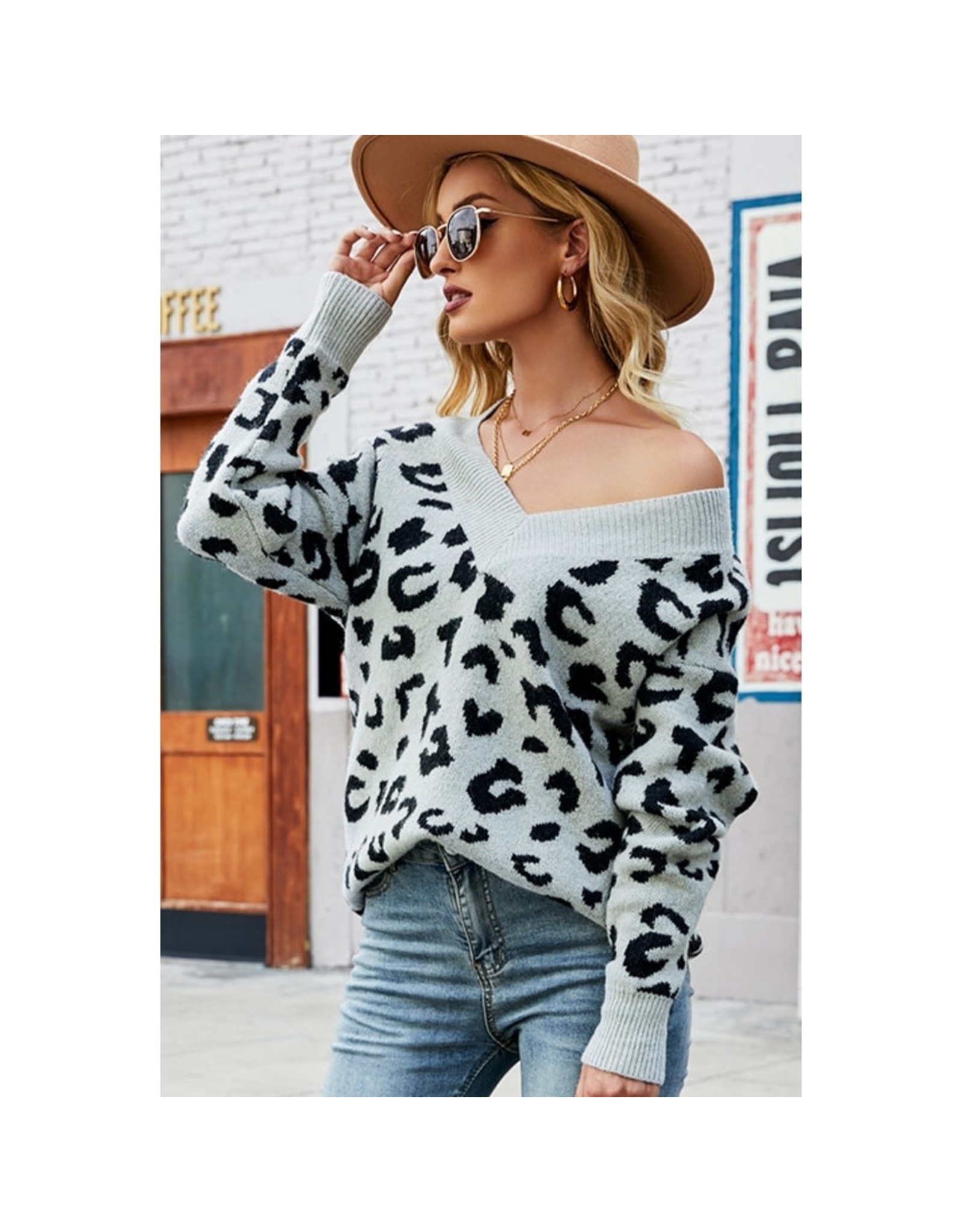 Elsey Sexy Leopard V-Neck Sweater