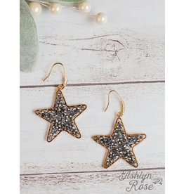 Sparkle in the Sky Hematite Stars w/gold Earrings