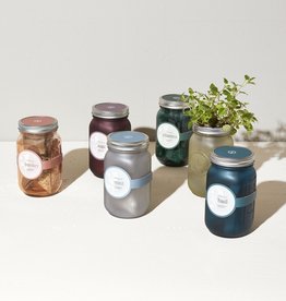 Modern Sprout LLC Self Watering Garden Jar Kit
