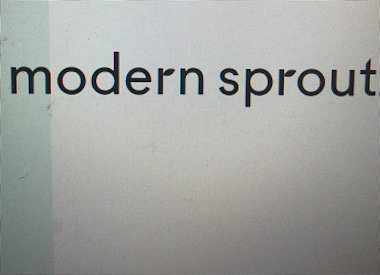 Modern Sprout LLC