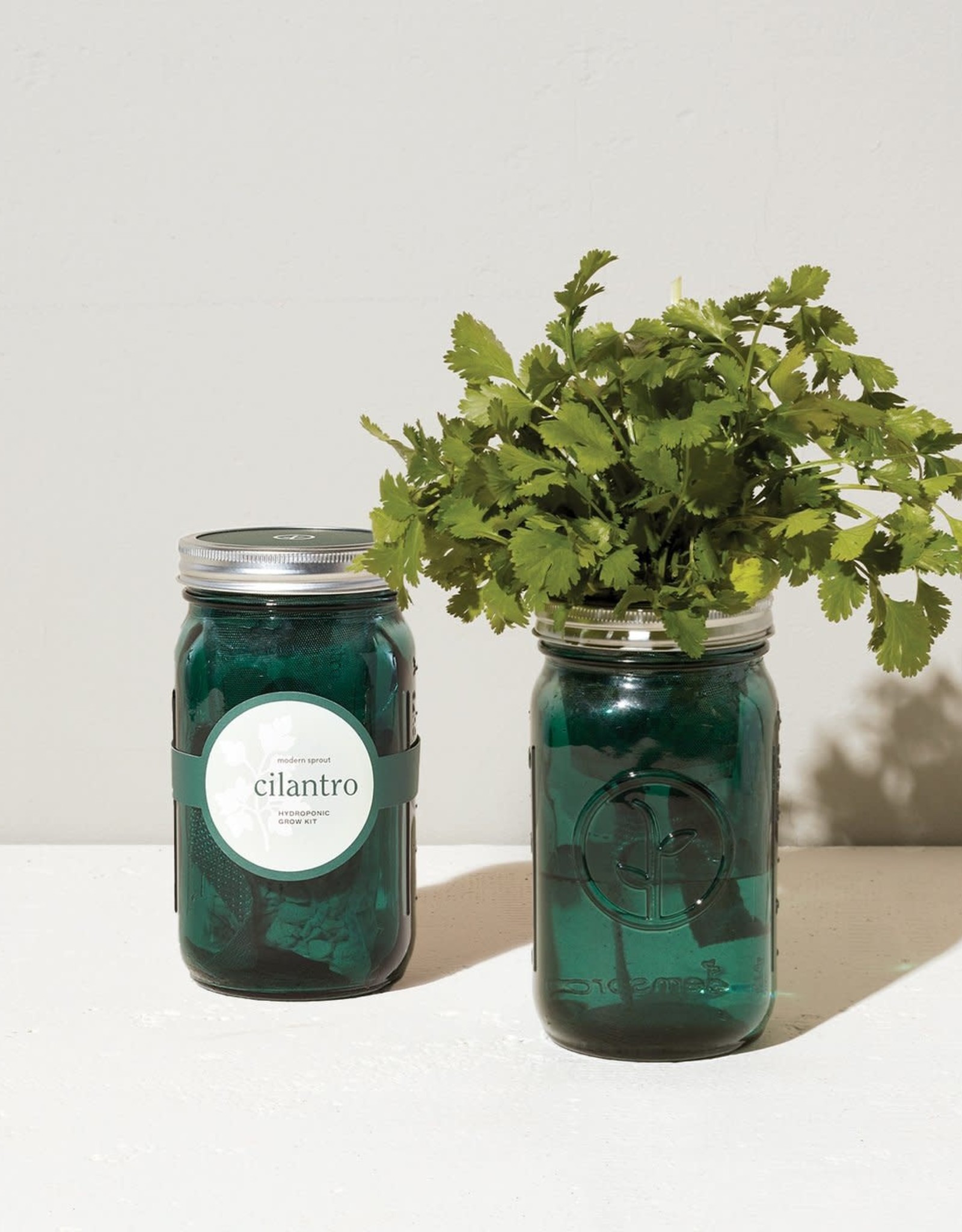 Modern Sprout LLC Self Watering Garden Jar Kit