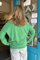 Town Pride Go Birds Vneck Sweater