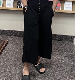 Maya Jones Clothing Button Front Wide Leg Pant