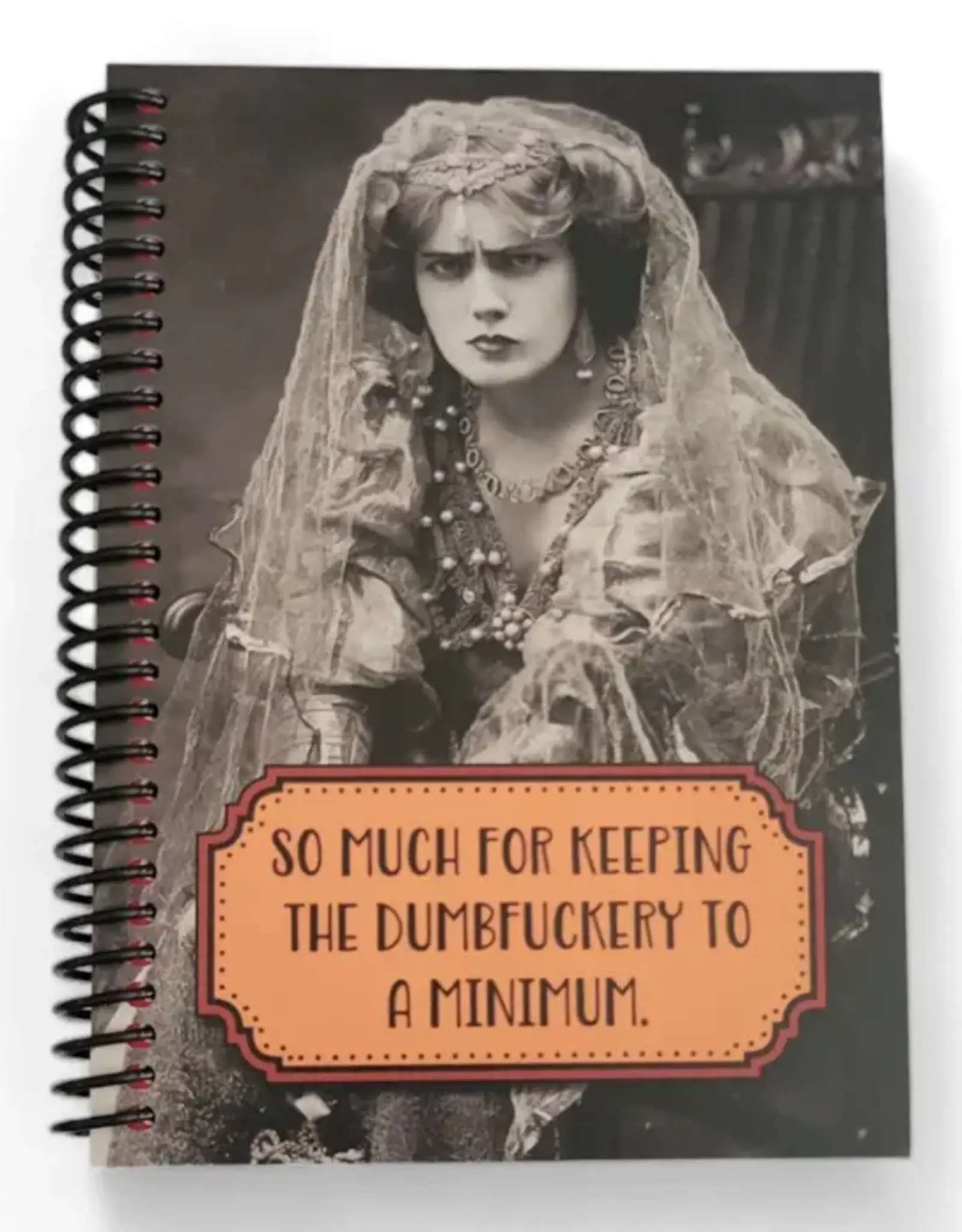 Funny Feminist Notebook