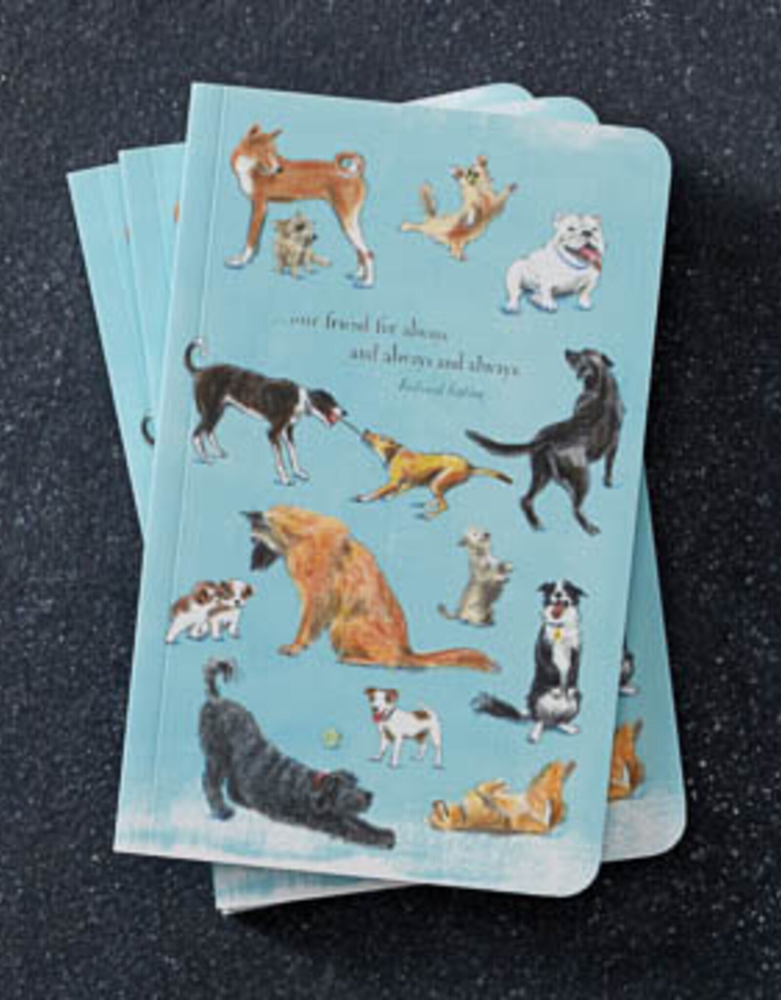 Compendium, Inc Write Now Journal