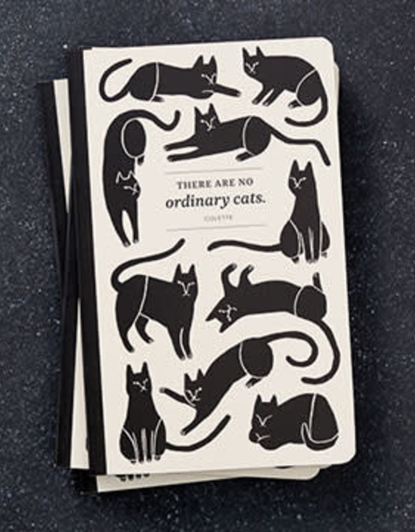 Compendium, Inc Write Now Journal