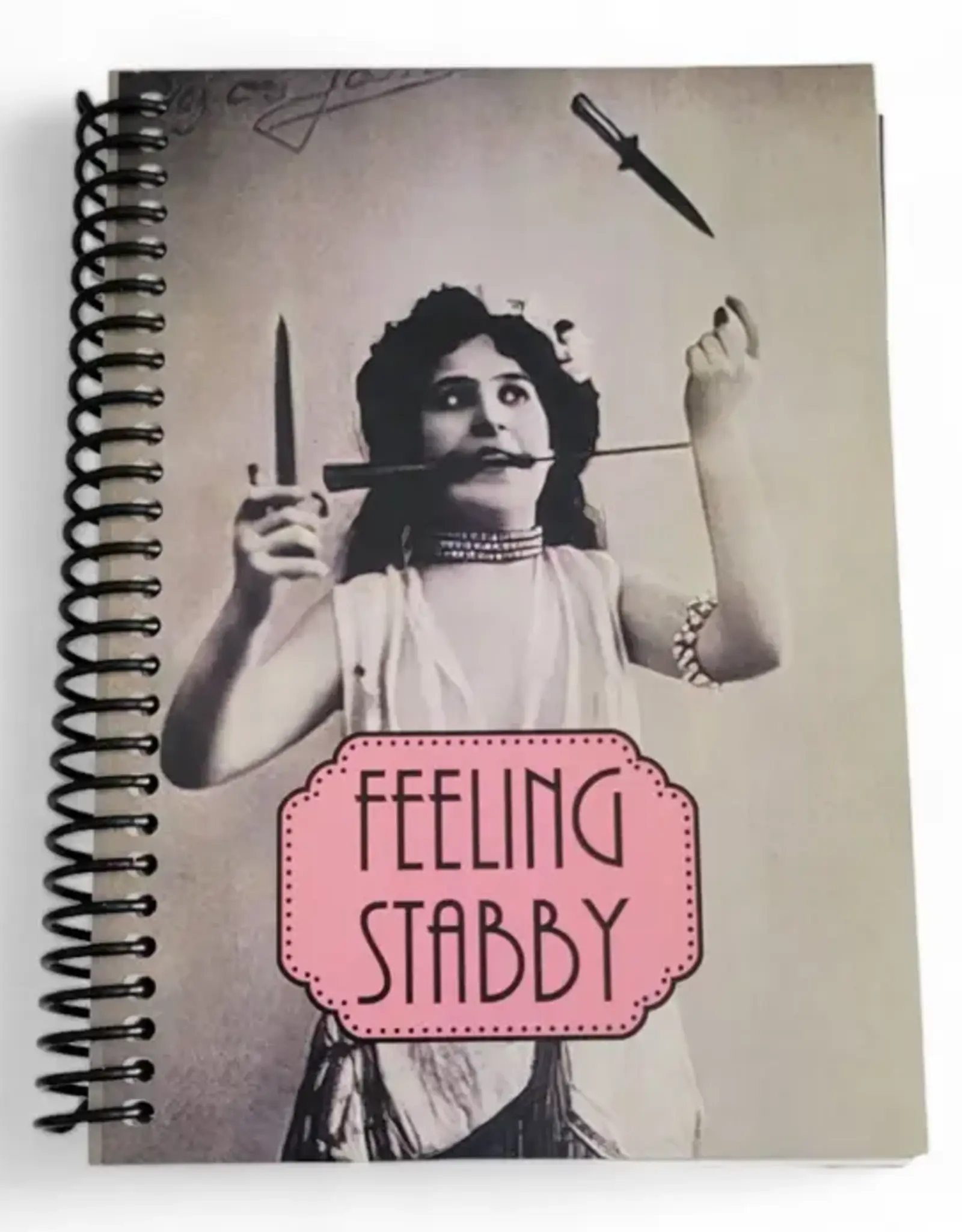 Funny Feminist Notebook