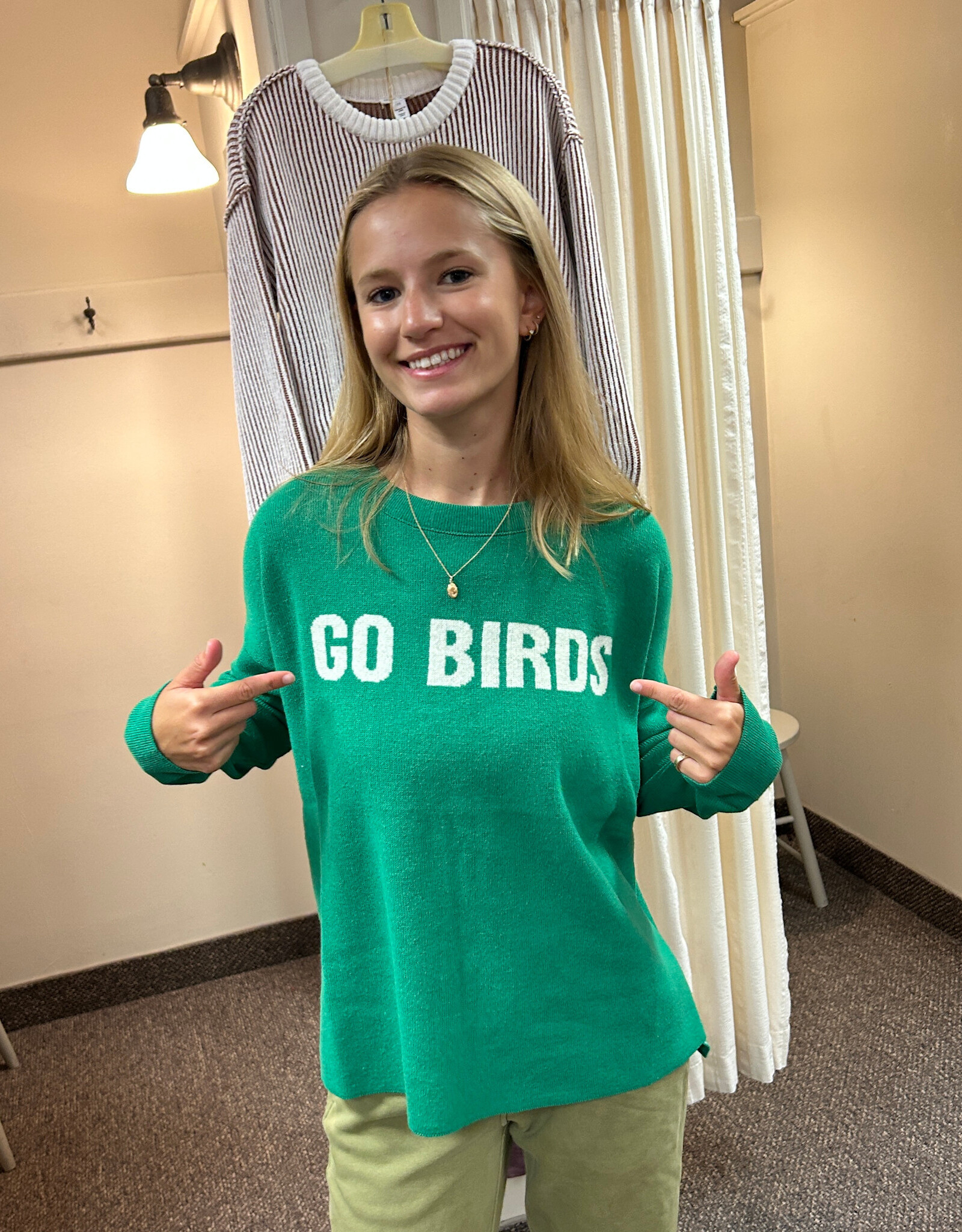 Town Pride Go Birds  V Neck Sweater