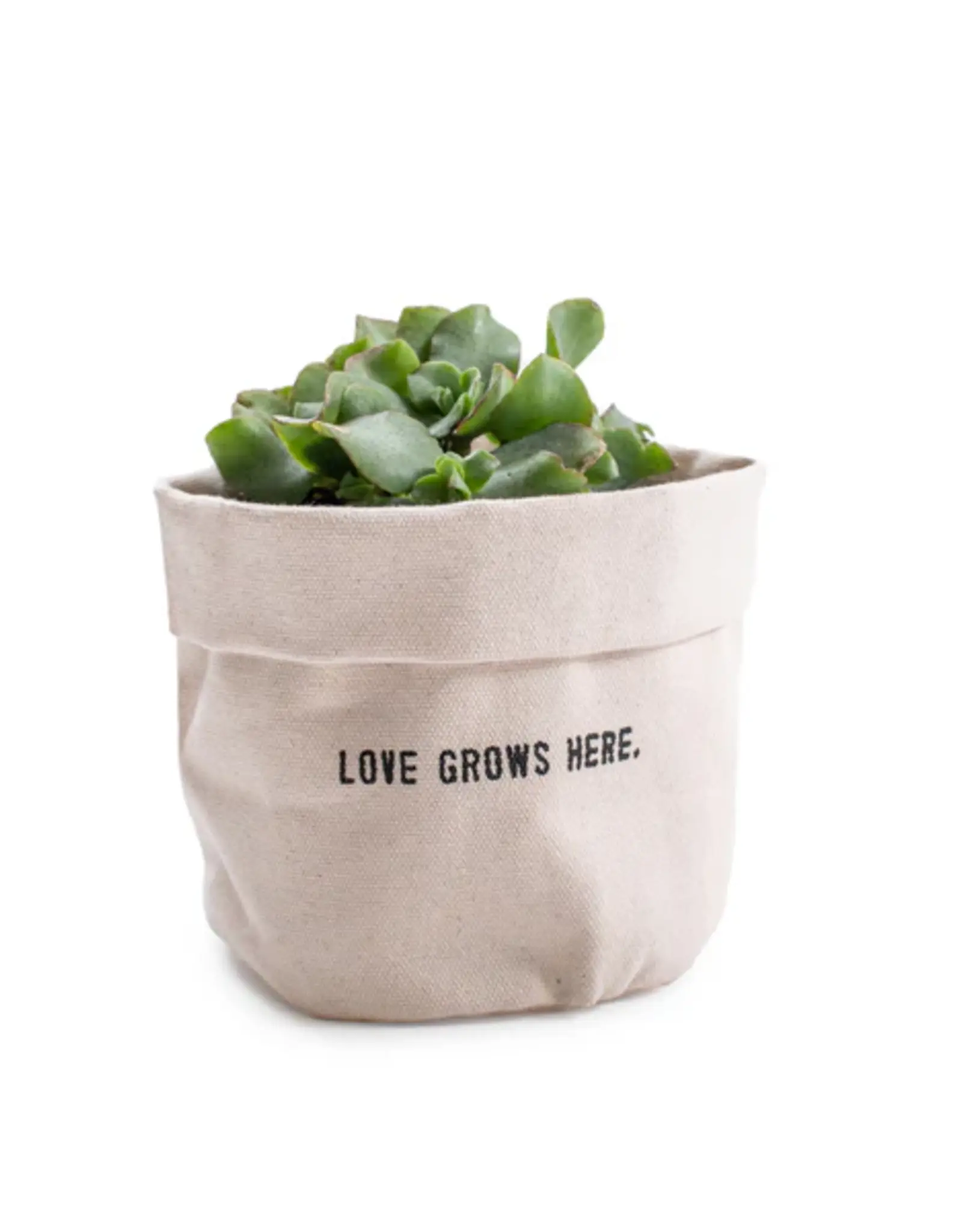 Canvas Planter