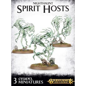 Age of Sigmar NIGHTHAUNT SPIRIT HOSTS