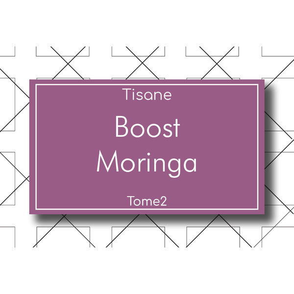 Les Thés Fuji Tisane Boost Moringa 70g