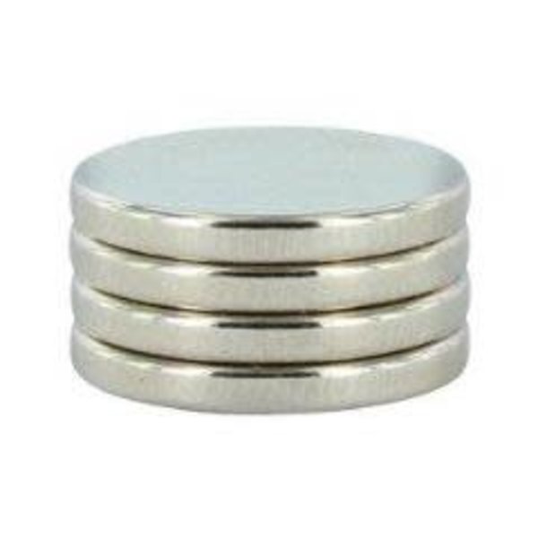 Primal Horizon MAGNETS - 1/2 x 1/16 (4 ct)