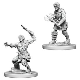 WIZKIDS DND - UNPAINTED MINIS - Nameless One