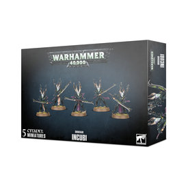 Drukhari 40K - DRUKHARI - Incubi