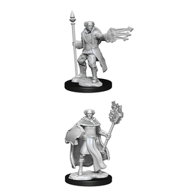 WIZKIDS DND UNPAINTED MINIS WV13 MULTICLASS CLERIC/WIZARD MALE