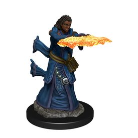 WIZKIDS DND ICONS OF THE REALMS HUMAN WIZARD FEMALE PREM FIG