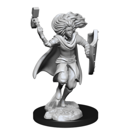 WIZKIDS DND UNPAINTED MINIS CHANGELING CLERIC MALE