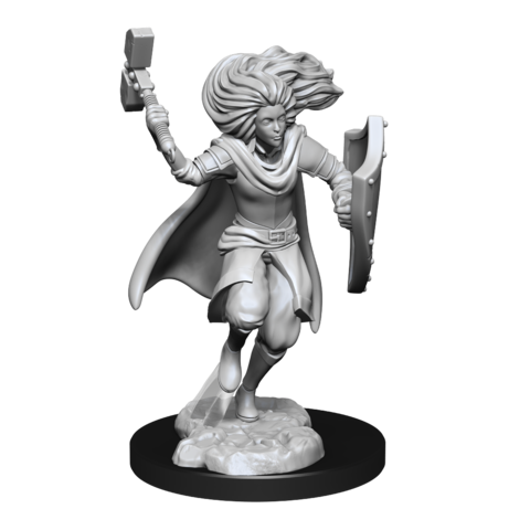 DND UNPAINTED MINIS CHANGELING CLERIC MALE