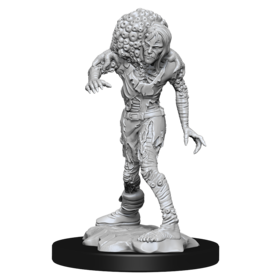 WIZKIDS DND UNPAINTED MINIS DROWNED ASSASSIN/ASETIC