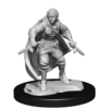 DND UNPAINTED MINIS HALF-ELF ROGUE FEMALE