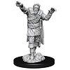 DND UNPAINTED MINIS SCARECROW/STONE CURSED