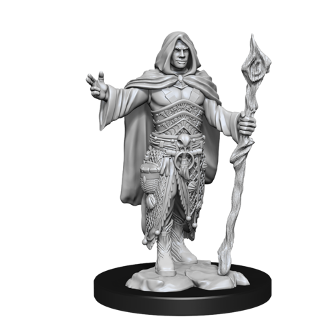 DND UNPAINTED MINIS HUMAN DRUID MALE