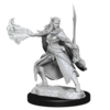 DND UNPAINTED MINIS WV15 WINTER AND SPRING ELADRIN